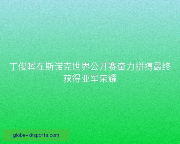 丁俊晖在斯诺克世界公开赛奋力拼搏最终获得亚军荣耀